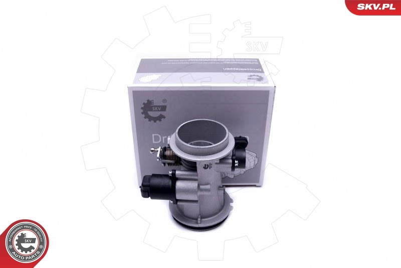 Throttle Body